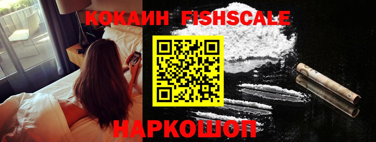 COCAIN Fish Scale  Вход с VPN  Волгодонск 