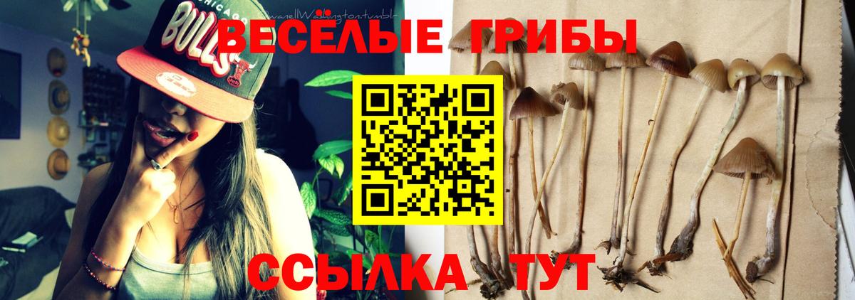 Волгодонск  Псилоцибиновые грибы ЛСД  Галлюциногенные грибы Cubensis  Вход с VPN 