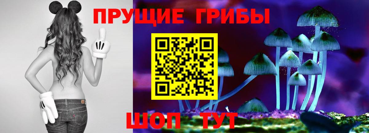 Галлюциногенные грибы MAGIC MUSHROOMS  Волгодонск  Галлюциногенные грибы MAGIC MUSHROOMS 