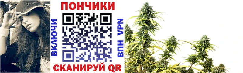 Марихуана планчик  закладки  Волгодонск 